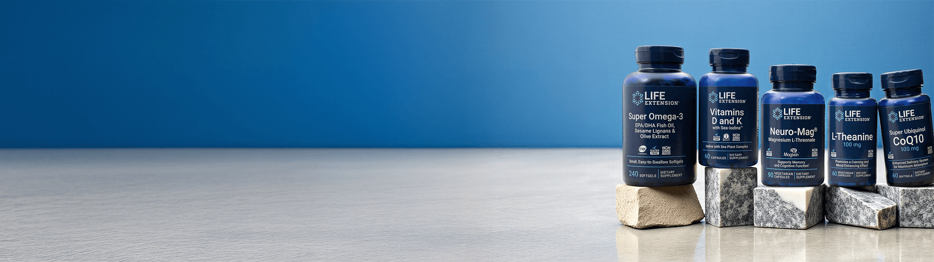 Life Extension