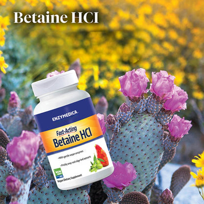 Betaine HCl, heartburn and indigestion relief