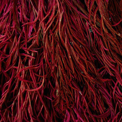 Astaxanthin