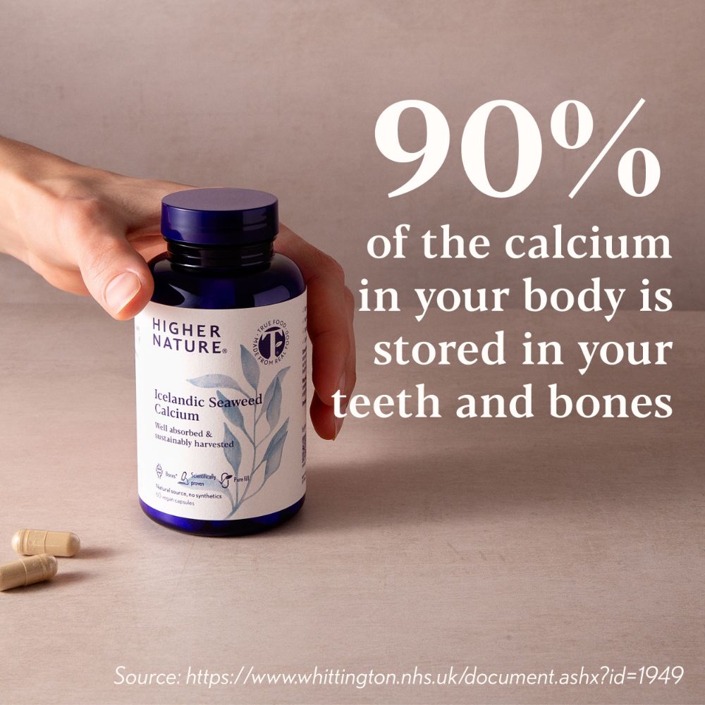 Icelandic Seaweed Calcium, 520mg