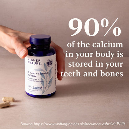 Icelandic Seaweed Calcium, 520mg