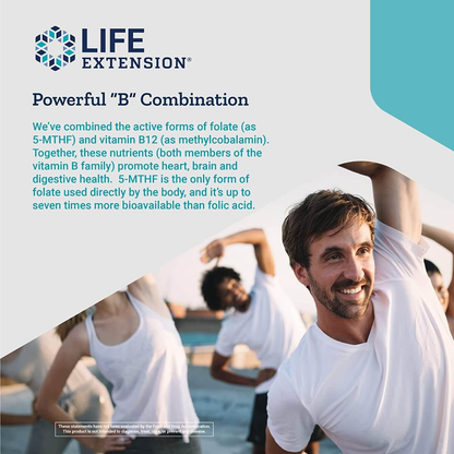 BioActive Folate & Vitamin B12