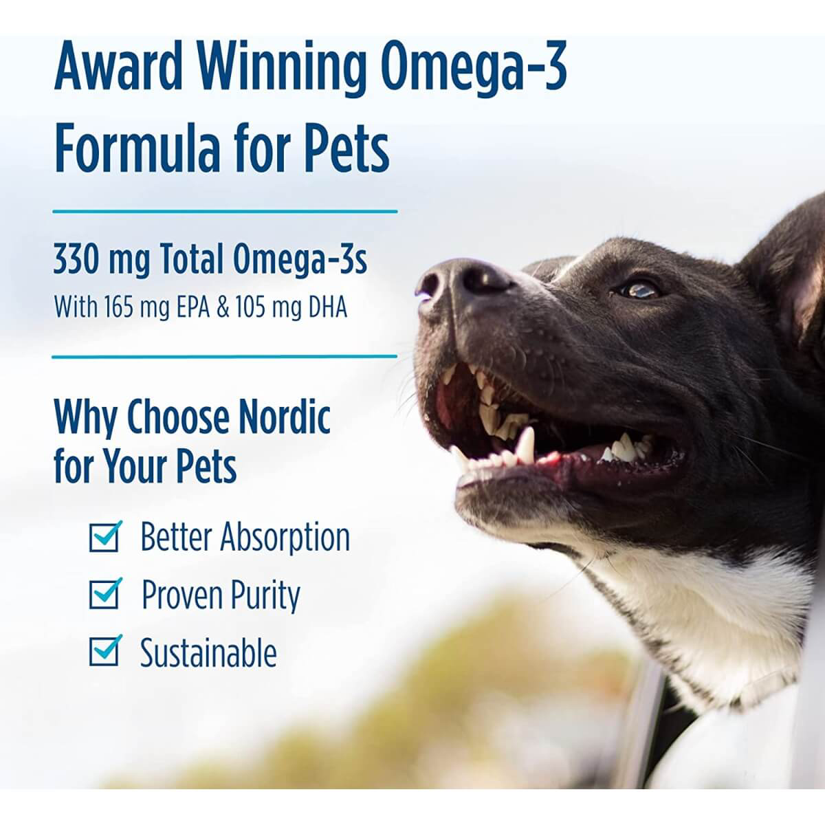 Omega-3 for Pets