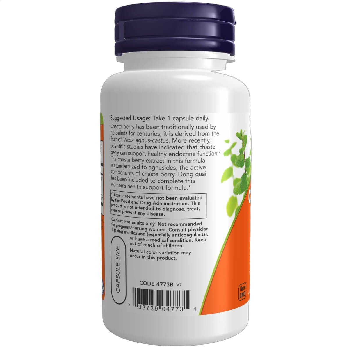 Chaste Berry Vitex Extract, 300mg
