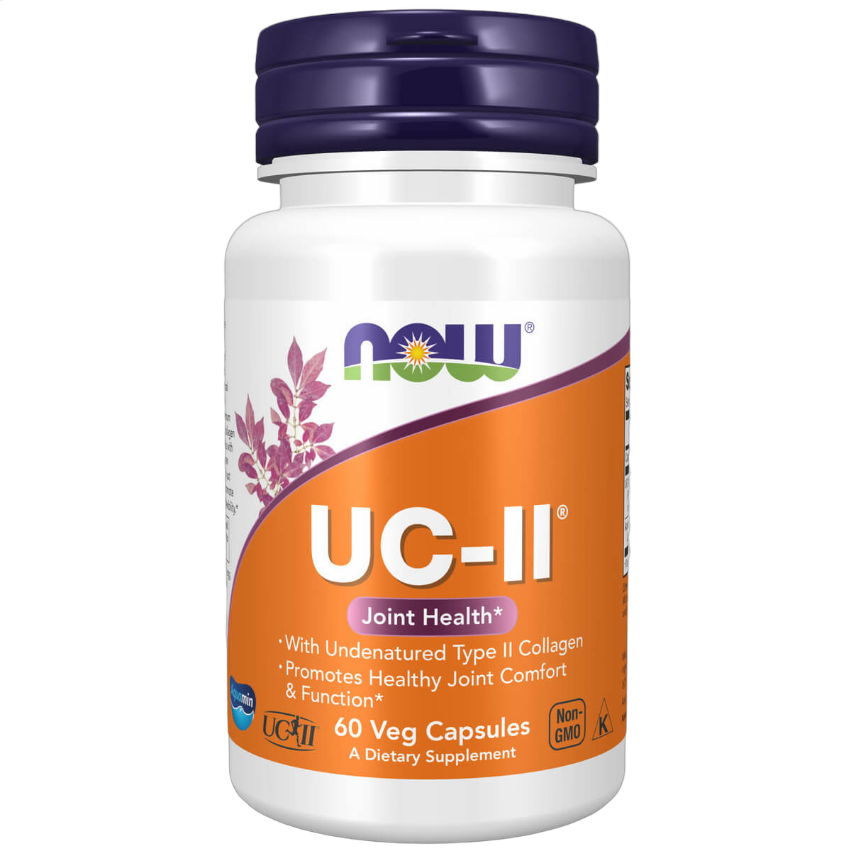 UC-II Type II Collagen
