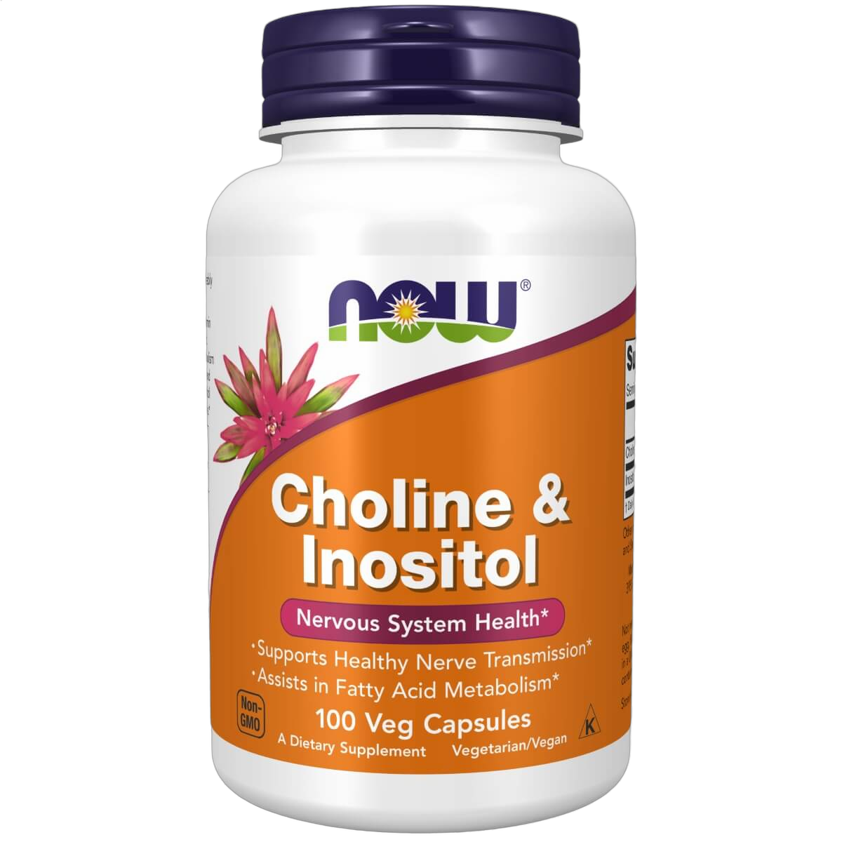 Choline & Inositol, 500mg