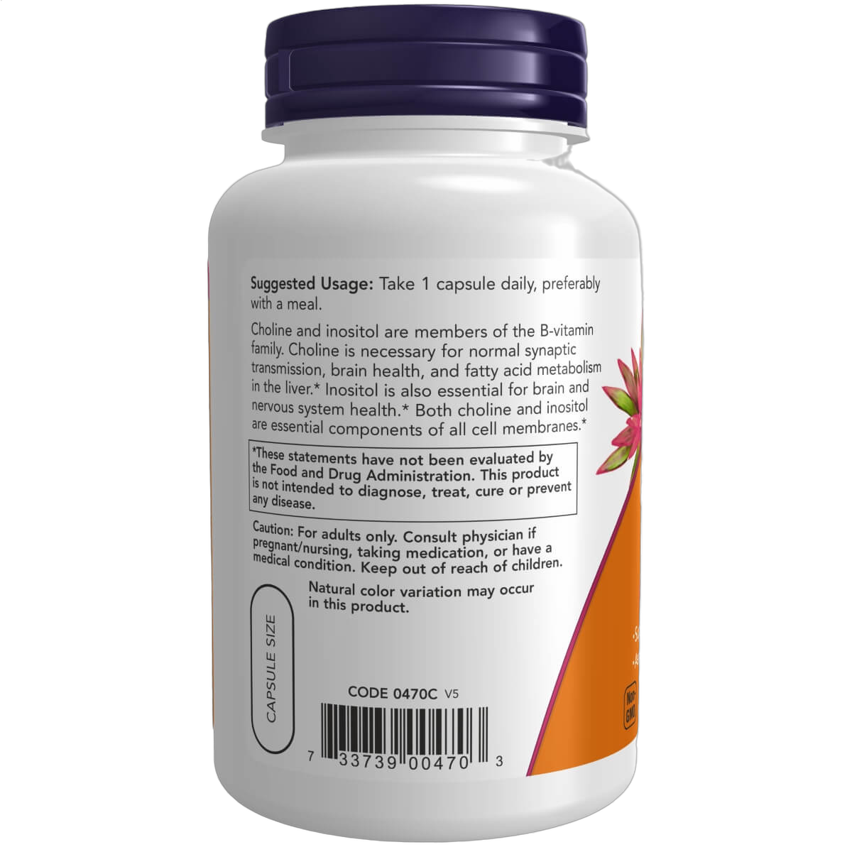 Choline & Inositol, 500mg