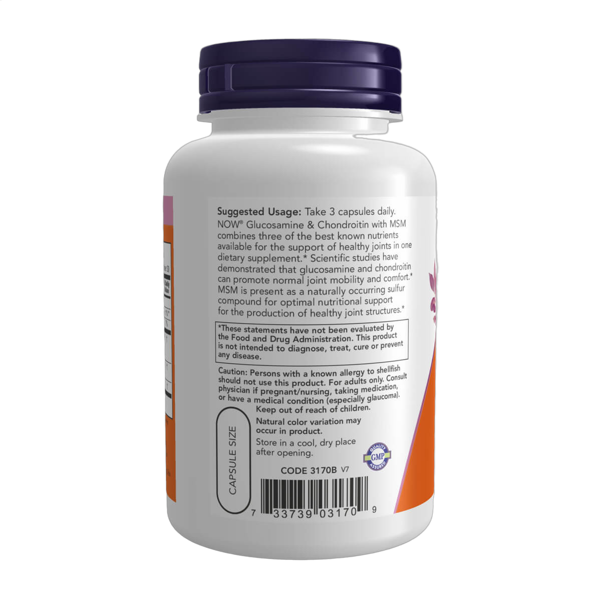 Glucosamine & Chondroitin with MSM