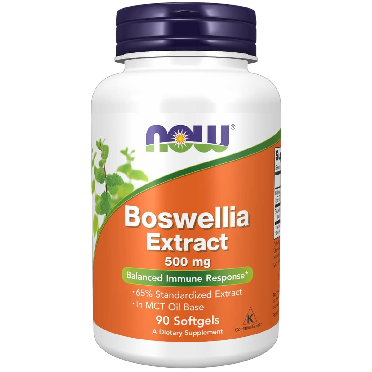 Boswellia Extract, 500mg