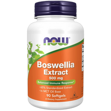 Boswellia Extract, 500mg