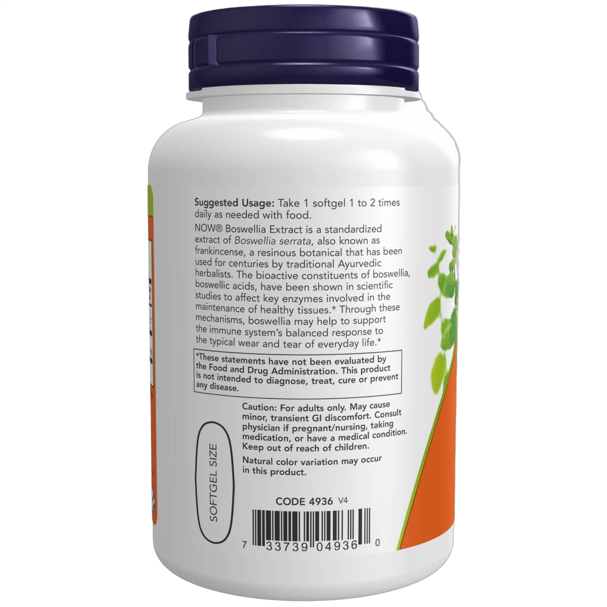 Boswellia Extract, 500mg