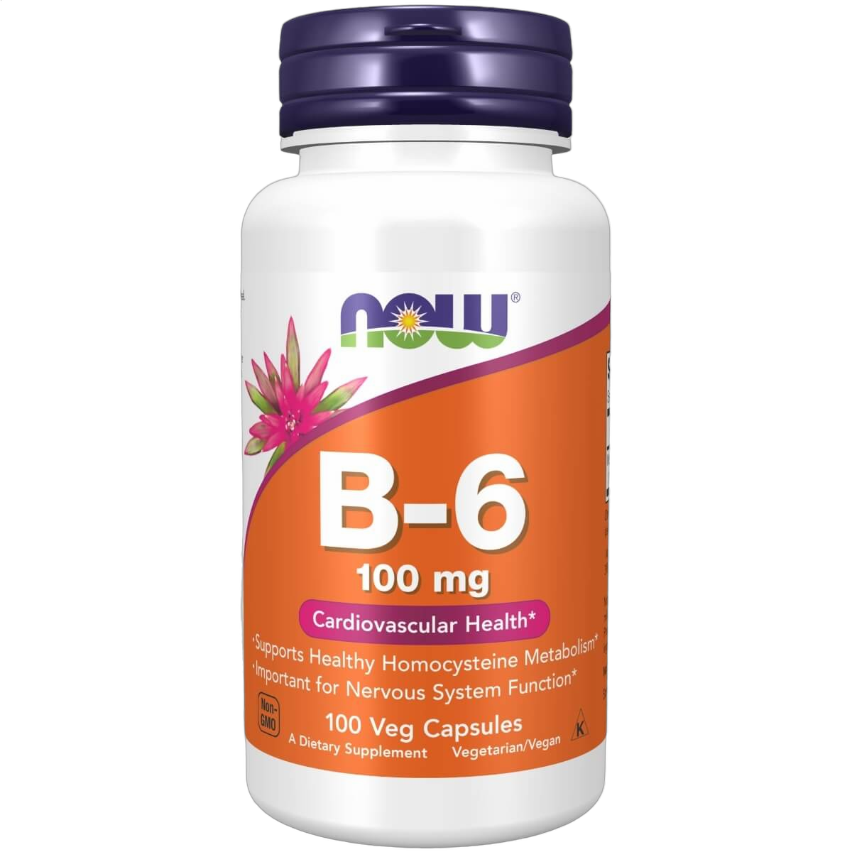 Vitamin B-6 (Pyridoxine HCl), 100mg