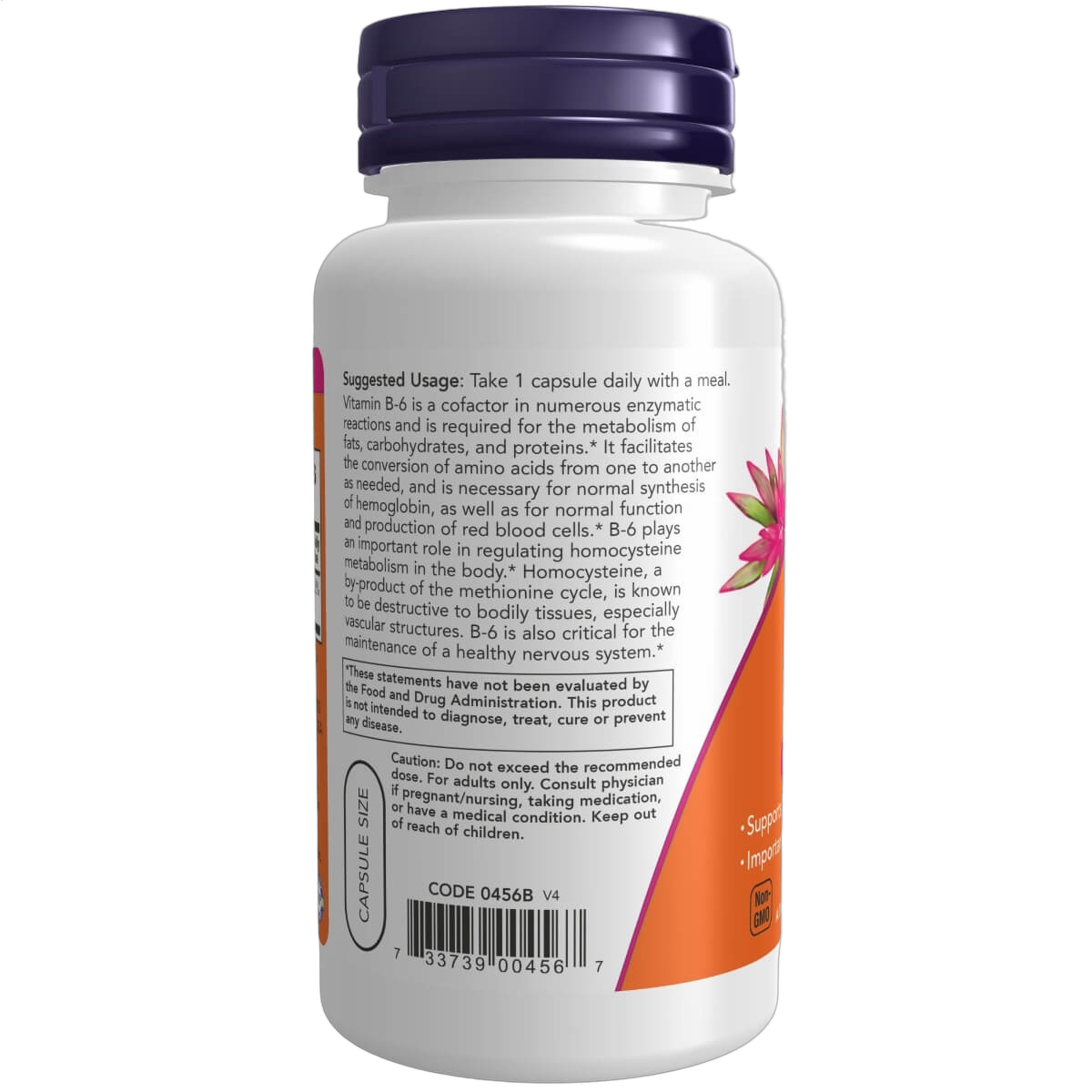 Vitamin B-6 (Pyridoxine HCl), 100mg