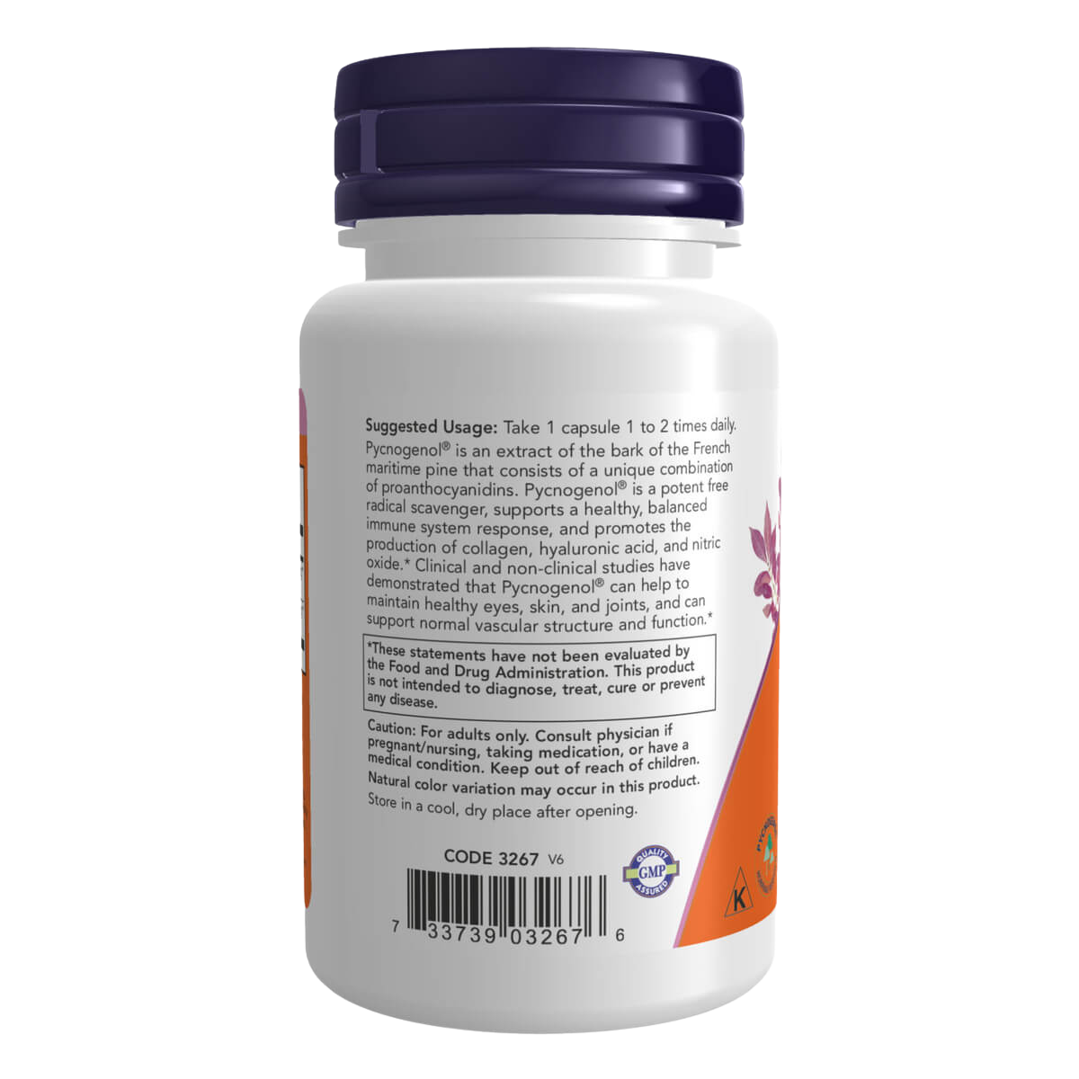 Pycnogenol, 100mg