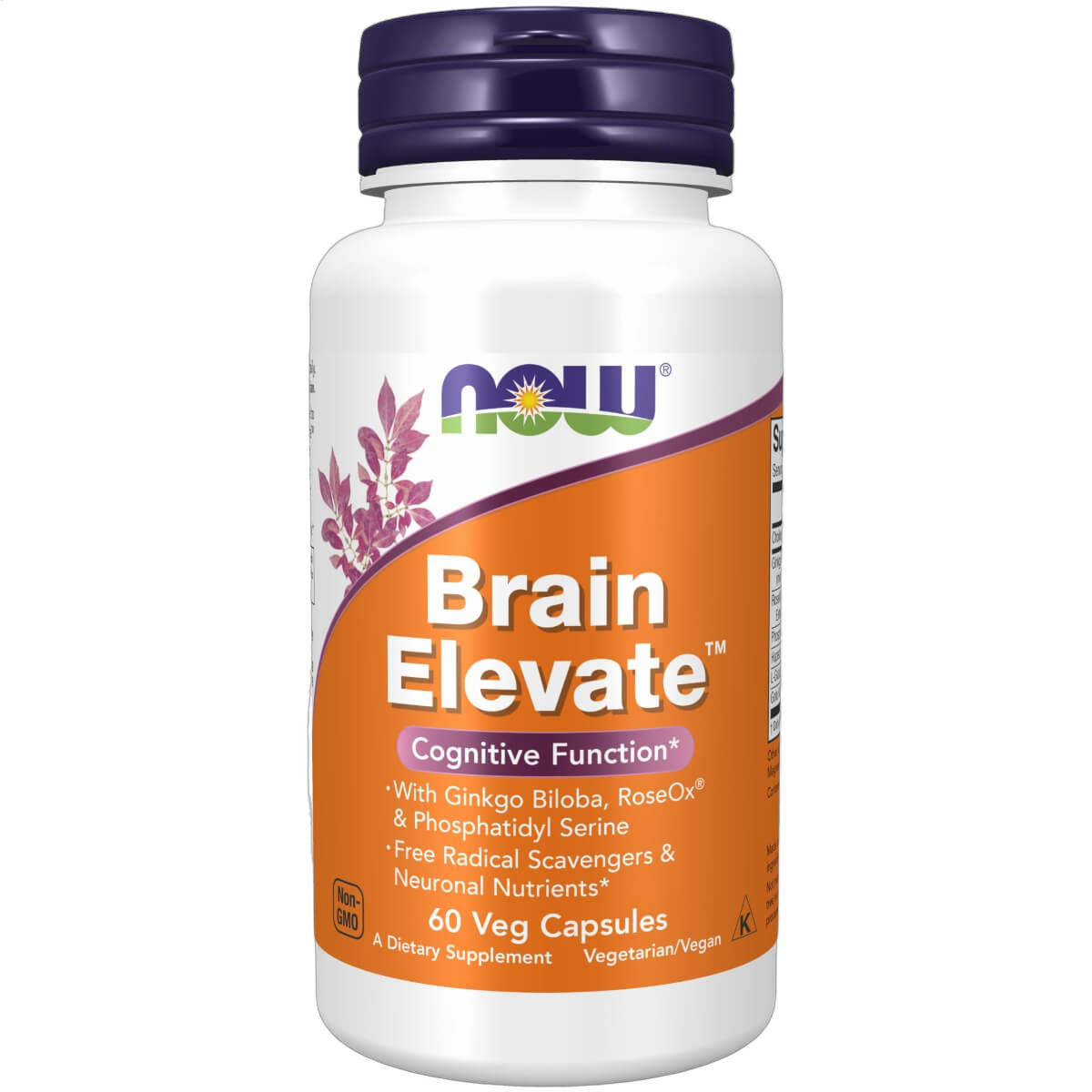 Brain Elevate