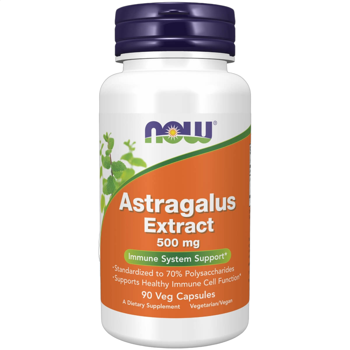 Astragalus Extract, 500mg