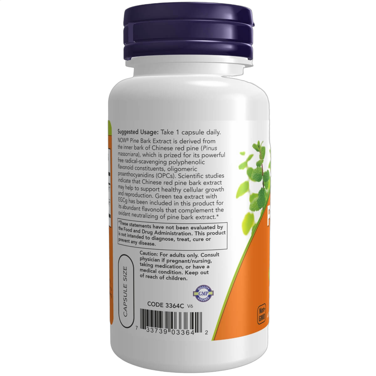 Pine Bark Extract, 240mg