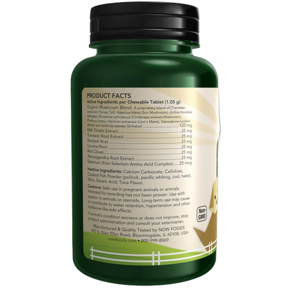 Immune Support for Dogs and Cats