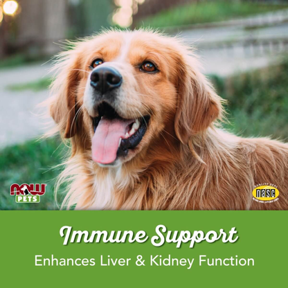 Immune Support for Dogs and Cats