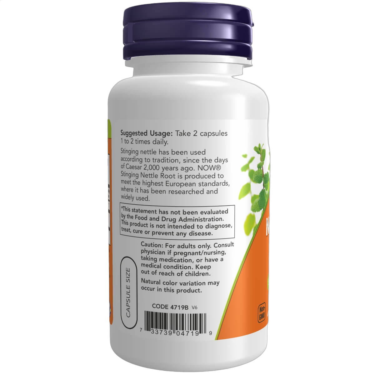 Stinging Nettle Root Extract, 250mg