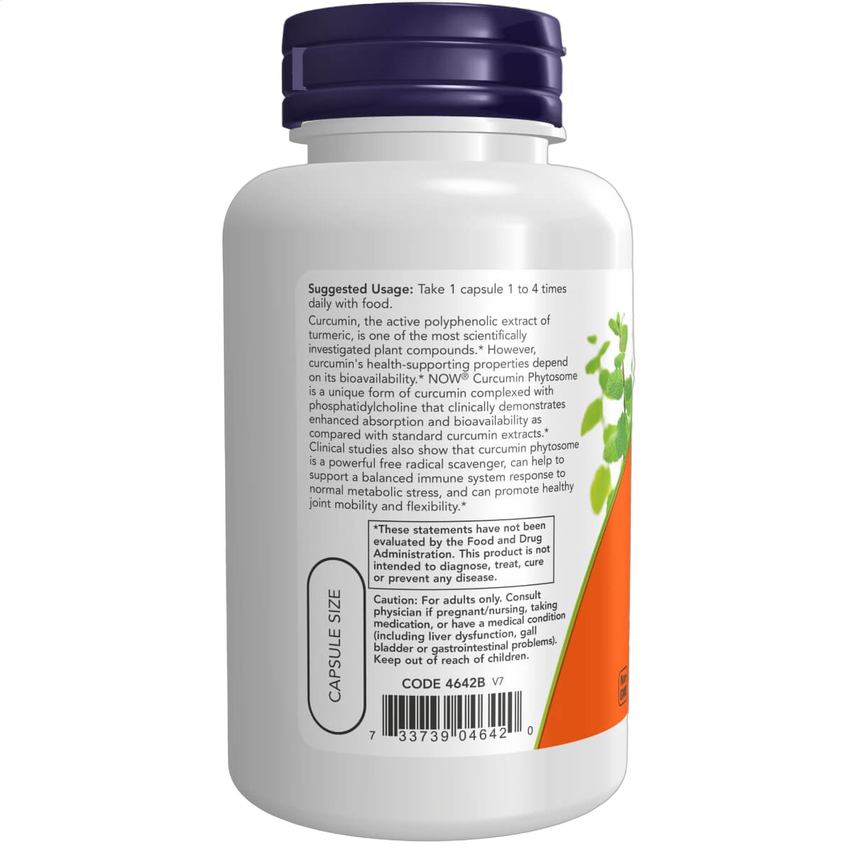 Turmeric Curcumin Phytosome