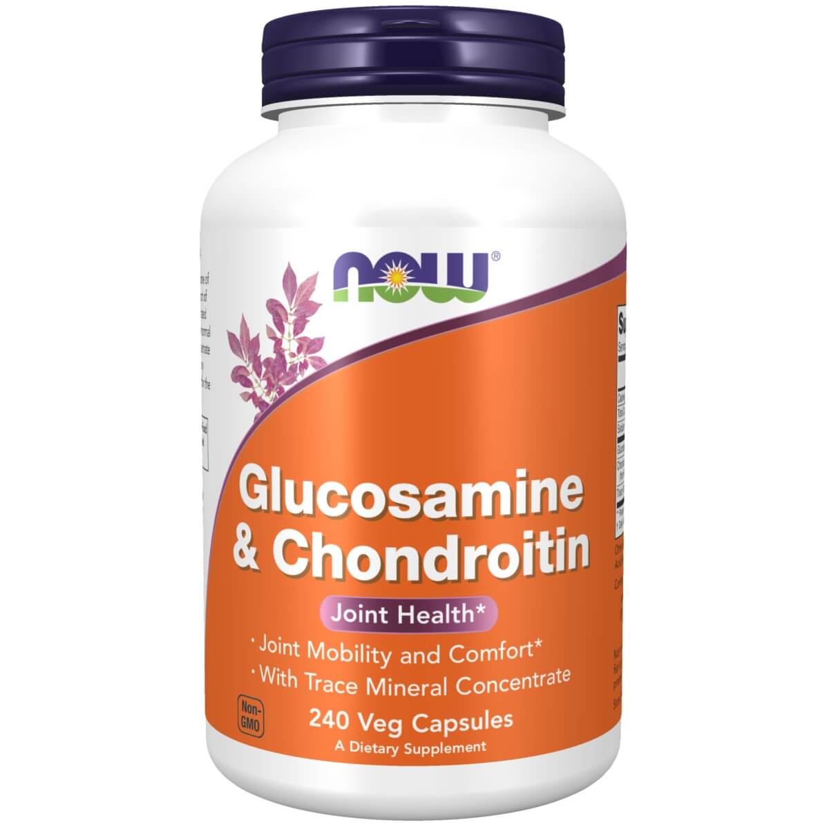 Glucosamine & Chondroitin