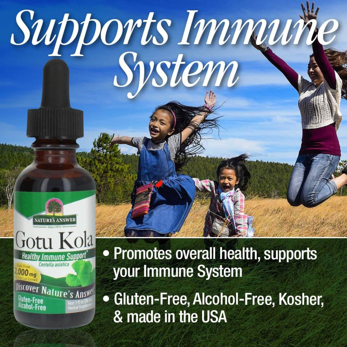 Gotu Kola Extract, 2000mg