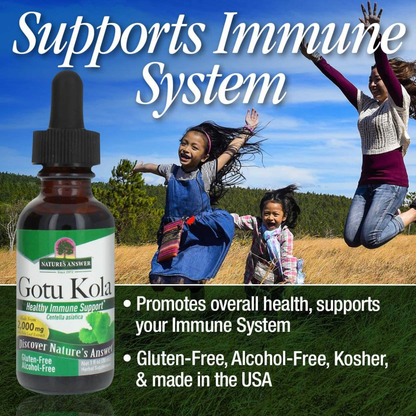 Gotu Kola Extract, 2000mg