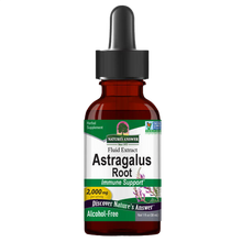 Astragalus Root, 2000mg