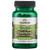 Full Spectrum Moringa Oleifera, 400mg