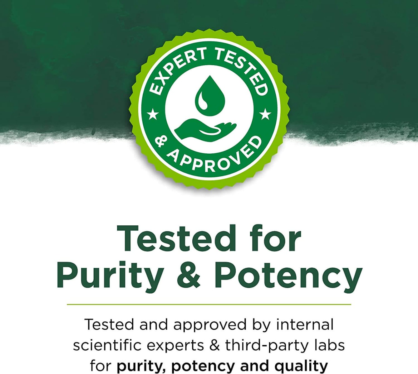 Full Spectrum Onion Bulb, 400mg