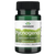 Pycnogenol, 50mg
