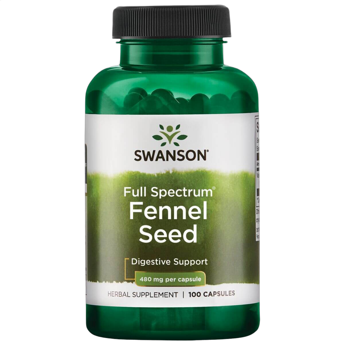 Fennel Seed, 480mg