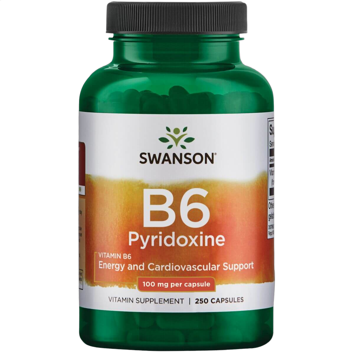 Vitamin B-6 Pyridoxine, 100mg